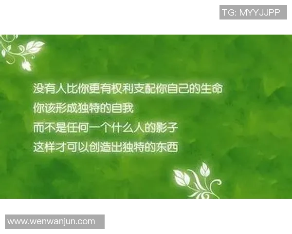 伟大足球俱乐部的辉煌历程与未来展望:激情与梦想的交汇点